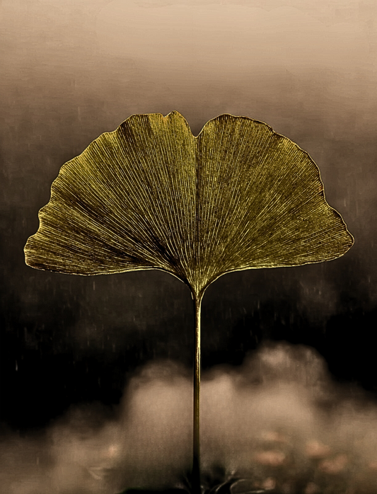 The Gingko