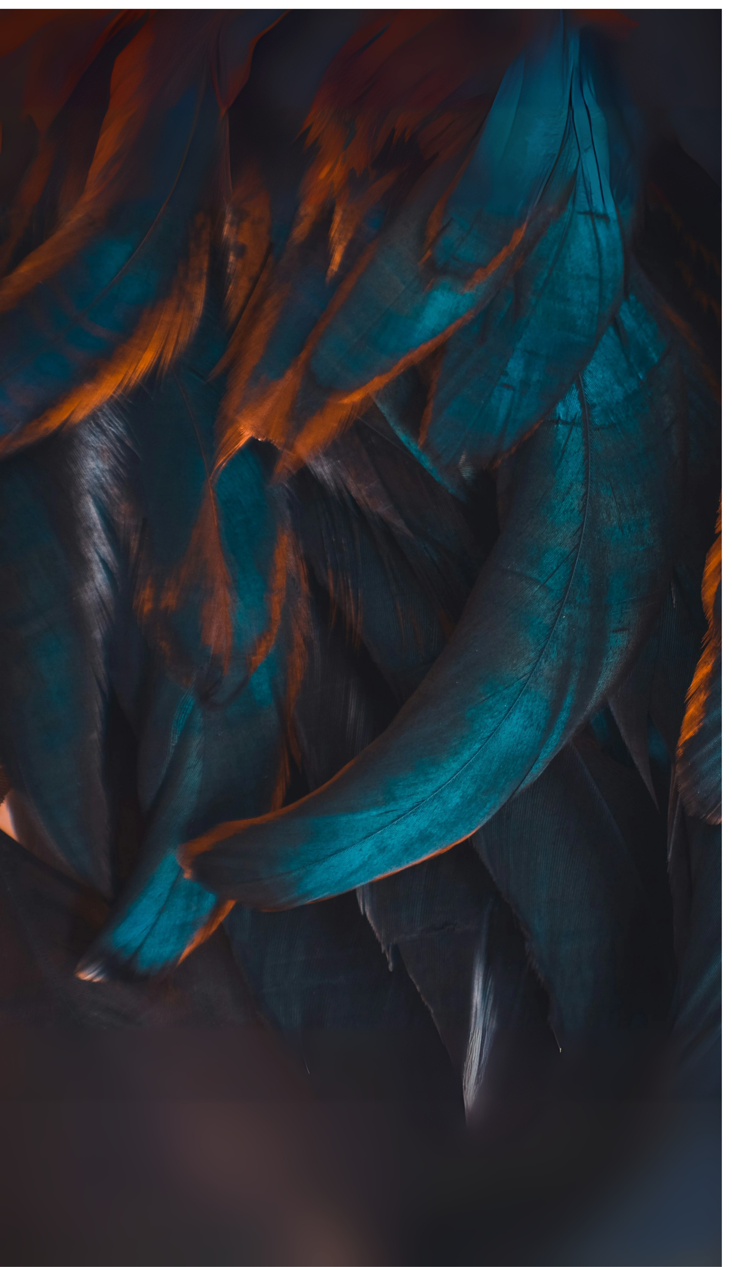 Teal + Copper Feathers