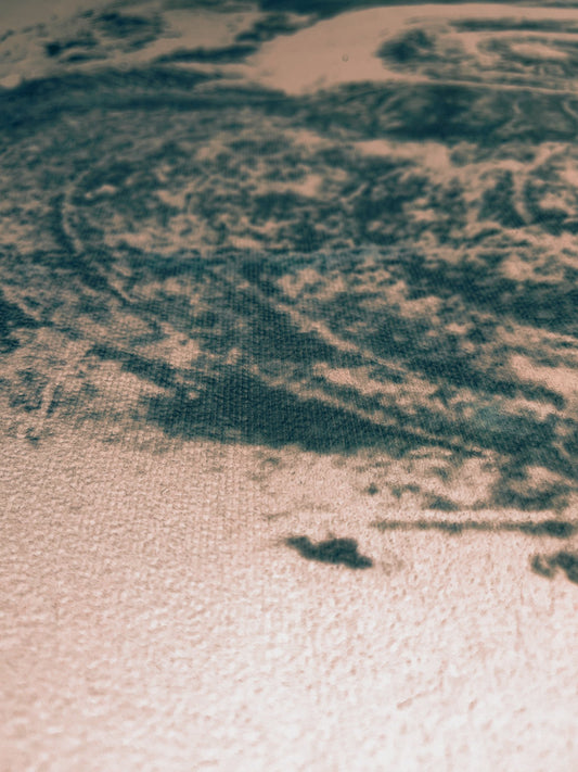 Ammonite on Pink Bespoke