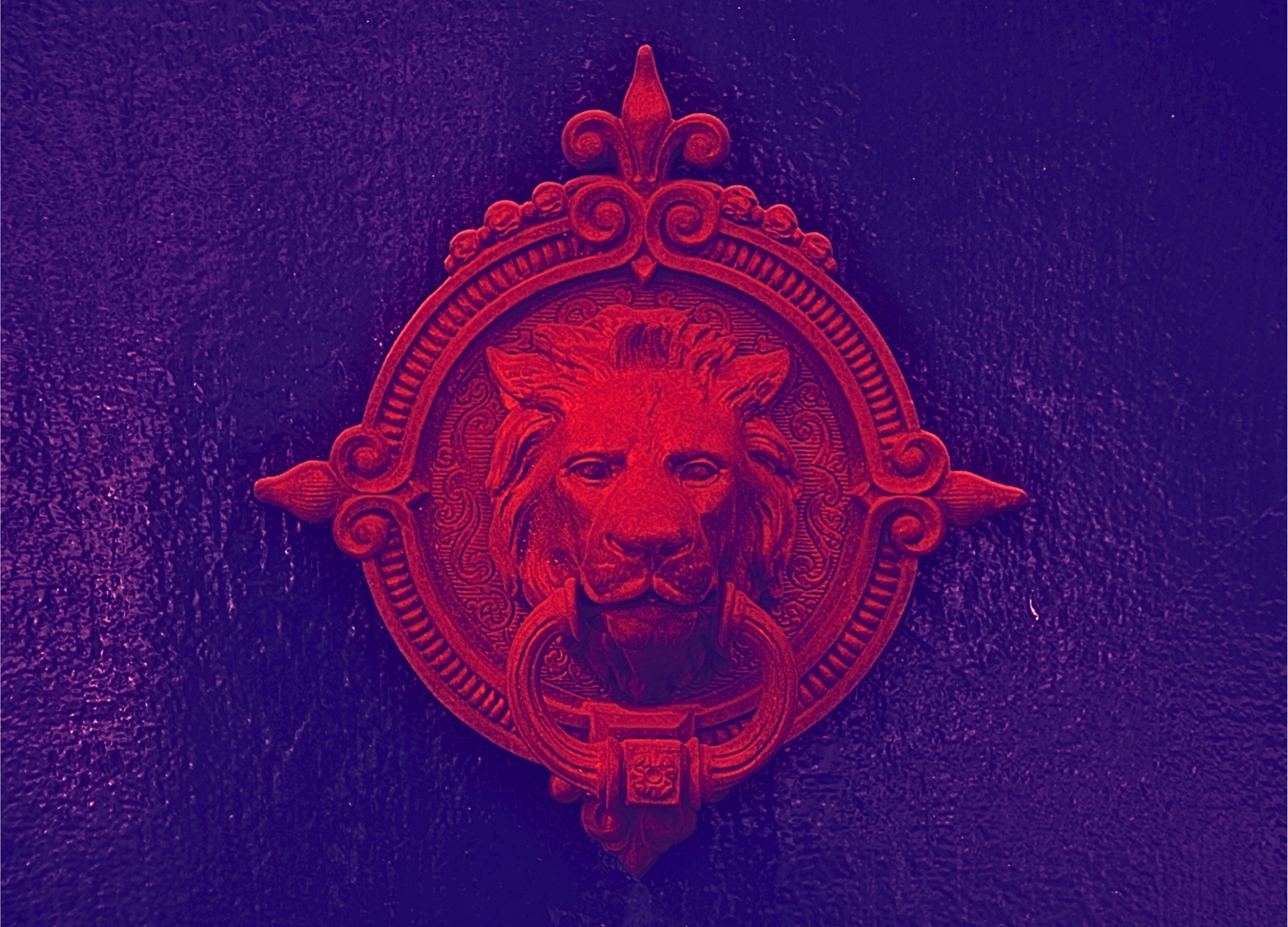 Lion_Knocker_Red_Purple