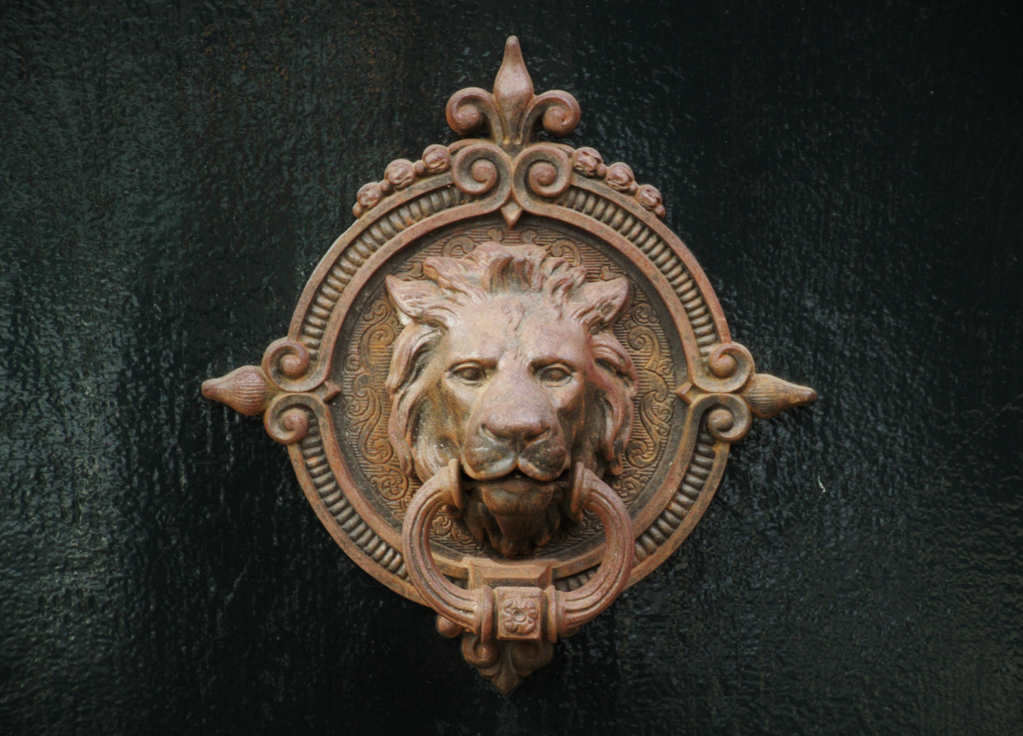 Lion Knocker on Black